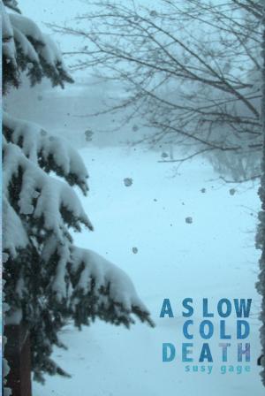 Cover of the book A Slow Cold Death by Michael Aye
