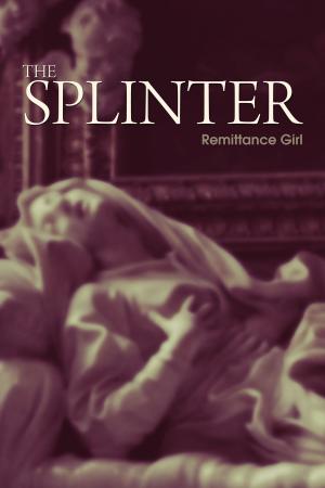 Cover of the book Splinter by Ashley L. Hunt