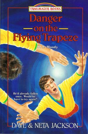 Book cover of Danger on the Flying Trapeze