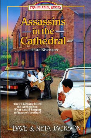 Cover of the book Assassins in the Cathedral by WE Kelton