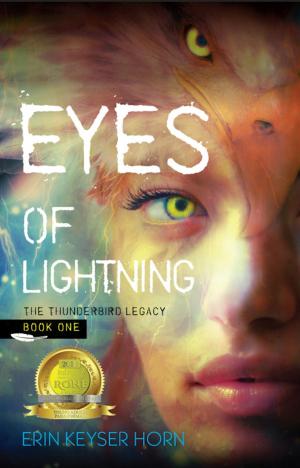 Cover of Eyes of Lightning by Erin Keyser Horn, Superstorm Productions