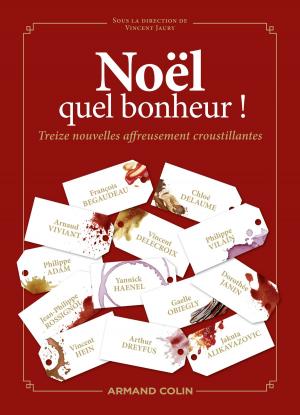 Cover of the book Noël, quel bonheur ! by Jean-Claude Kaufmann