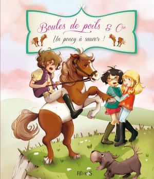 Cover of the book Un poney à sauver ! by Raphaële Glaux, Séverine Onfroy, Sophie De Mullenheim, Charlotte Grossetête