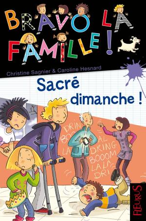 Cover of the book Sacré dimanche ! by Nathalie Somers