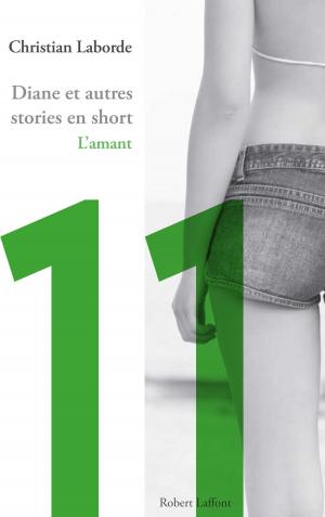 Cover of the book L'amant by Serge TISSERON, Idriss ABERKANE