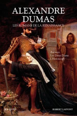 Book cover of Les Romans de la Renaissance