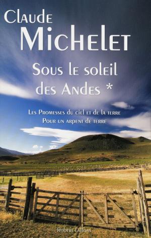 Cover of the book Sous le soleil des Andes by Lorraine FOUCHET