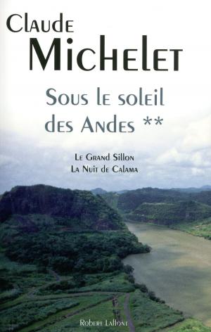 Cover of the book Sous le soleil des Andes by Nicole BORDELEAU