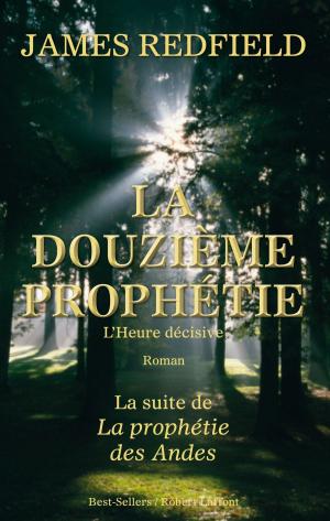 Cover of the book La douzième prophétie by Julia CHAPMAN