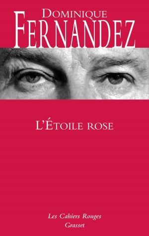 Cover of the book L'étoile rose by Daniel Rondeau