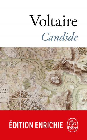 Cover of the book Candide by Jonathan Swift