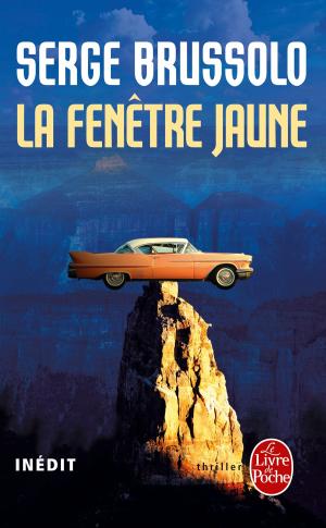 Book cover of La Fenêtre jaune