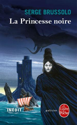 Cover of the book La Princesse noire by Maurice Leblanc