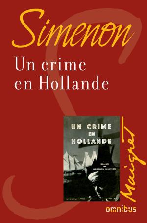 Cover of the book Un crime en Hollande by Mathieu DA VINHA
