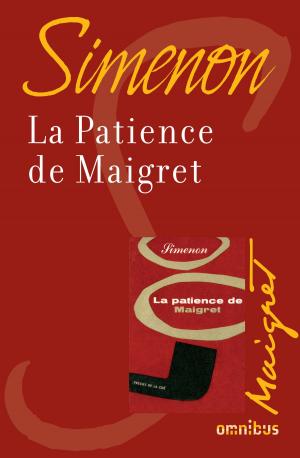 Cover of the book La patience de Maigret by Alain BLONDY