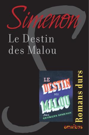 Cover of the book Le destin des Malou by Jean-Michel THIBAUX