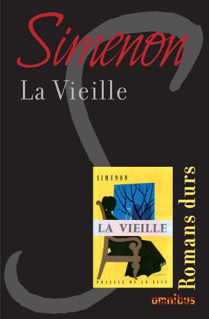 Cover of the book La vieille by Todd Levins