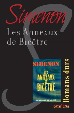 Cover of the book Les anneaux de bicêtre by Alex CARTIER