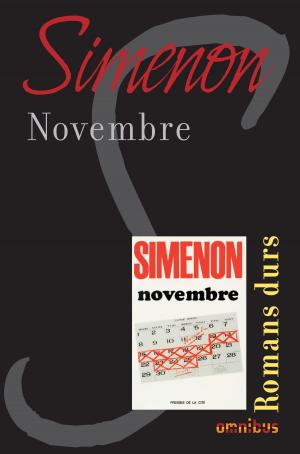 Cover of the book Novembre by Michel del CASTILLO