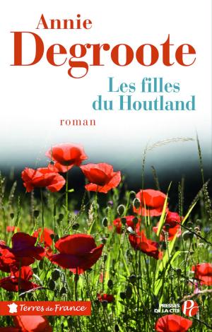 Cover of the book Les filles du Houtland by Bernard COTTRET
