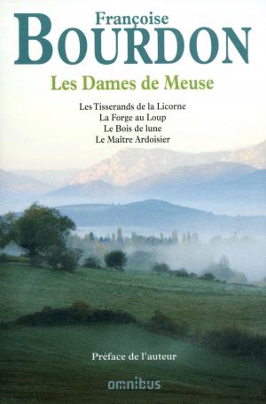 Cover of the book Les dames de Meuse by Bruno CRAS