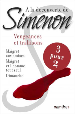 Cover of the book A la découverte de Simenon 8 by Patrick O'BRIAN, Dominique LE BRUN