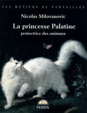 Cover of the book La princesse Palatine by LE CERCLE DES ÉCONOMISTES, Erik ORSENNA