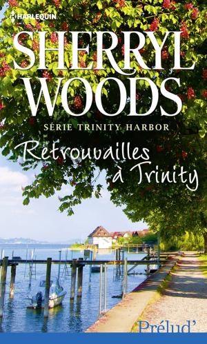 Cover of the book Retrouvailles à Trinity by Julien Tubiana