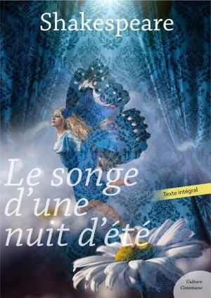 Cover of the book Le Songe d'une nuit d'été by Odile de Montalembert