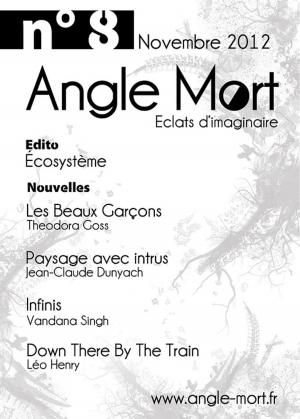 Book cover of Angle Mort numéro 8