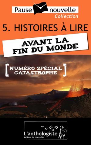 bigCover of the book Histoires à lire avant la fin du monde - 10 nouvelles, 10 auteurs - Pause-nouvelle t5 by 