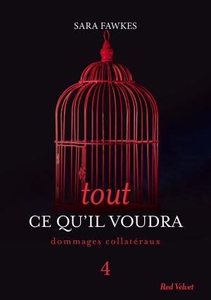 Cover of the book Tout ce qu'il voudra 4 by India Grey