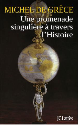 Cover of the book Une promenade singulière à travers l'histoire by Christian Montaignac