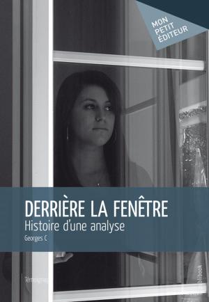 Cover of the book Derrière la fenêtre by Jennifer Del Pino