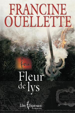 Cover of the book Feu, tome 3 by Michel Roy