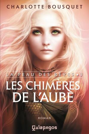Cover of the book Les chimères de l'aube by Sylvie Jouffa
