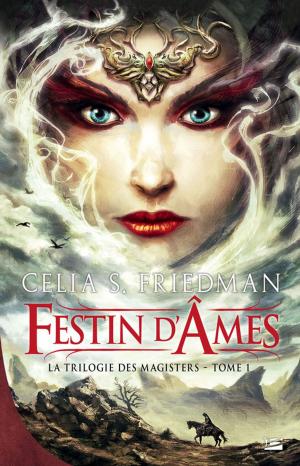 Cover of the book Festin d'Âmes by Paul J. Mcauley