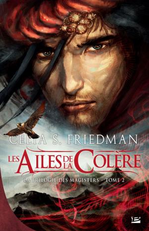Cover of the book Les Ailes de la colère by Anthony Ryan