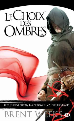 Cover of the book Le Choix des ombres by Terry Goodkind