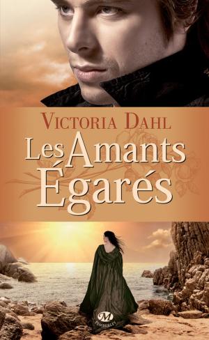 Book cover of Les Amants égarés