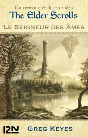 Cover of the book The Elder Scrolls tome 2 by SAN-ANTONIO