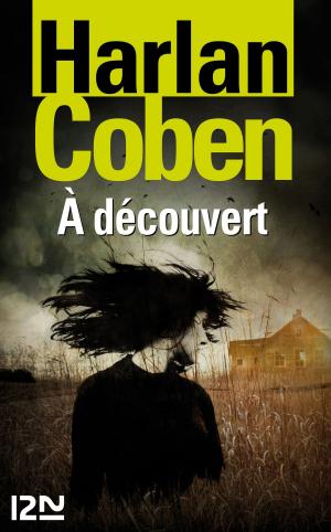 Cover of the book À découvert by Anne-Marie POL
