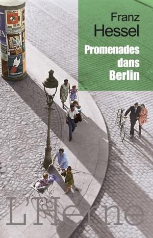 Book cover of Promenades dans Berlin