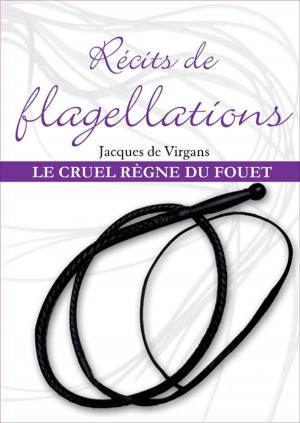 Cover of the book Récits de flagellation Tome 3 by Rebecca Blake