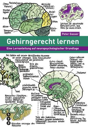 Cover of the book Gehirngerecht lernen (E-Book) by Christoph Aerni, lic.phil. Roger Portmann, Alois Hundertpfund