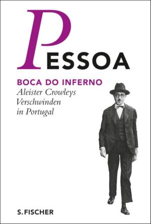 Cover of the book Boca do Inferno by Peter Stamm