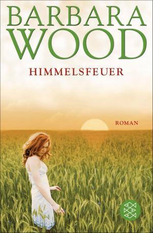 Cover of the book Himmelsfeuer by Sabine Weigand