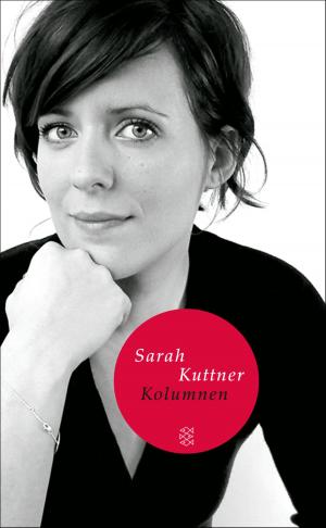 Cover of the book Kolumnen by Ulrich Peltzer