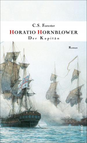Cover of the book Der Kapitän by Evelyn Heeg, Tino Heeg, Rita Schmutzler