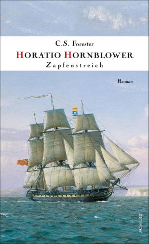 Cover of the book Zapfenstreich by Thomas Hürlimann